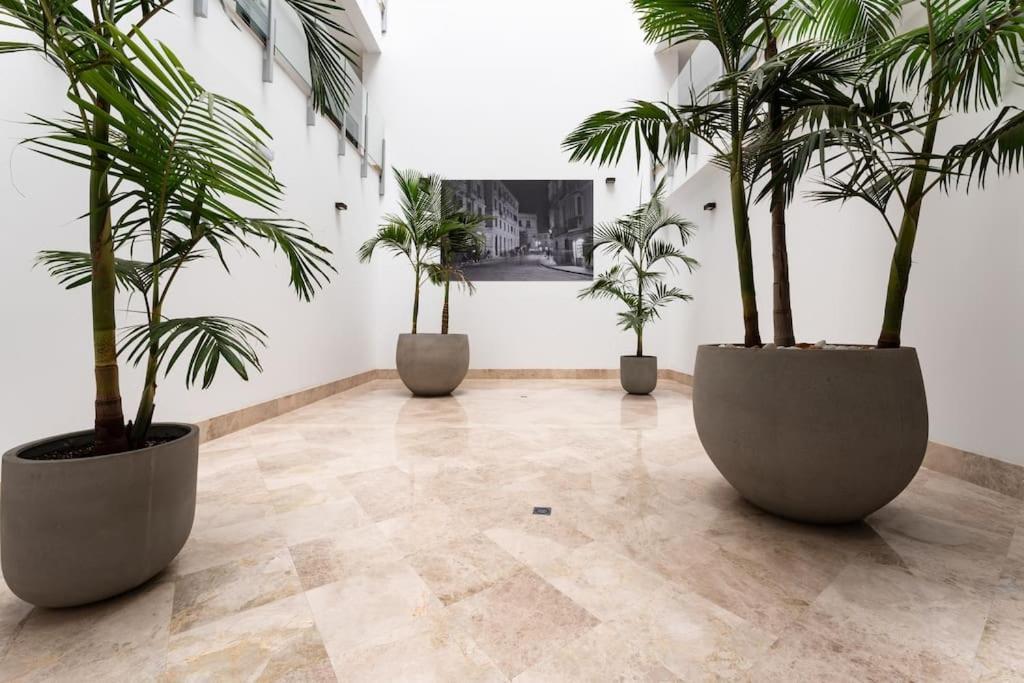 Premium Flat In Malaga Center With Free Parking Apartamento Exterior foto